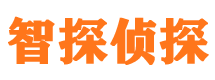 夏河市私家侦探